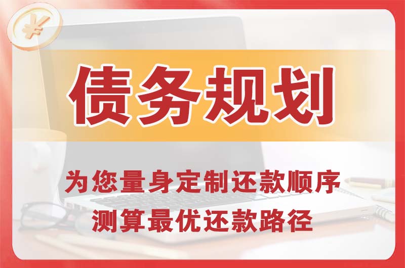 廉江债务规划